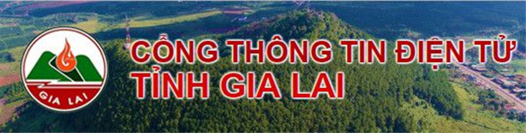 Cổng thông tin điện tử tỉnh